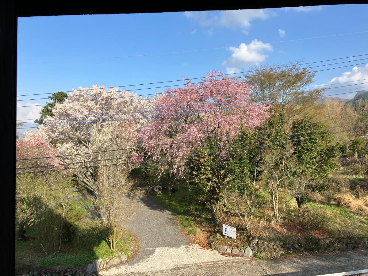 お宿でん吉 Minami Aszo Kültér fotó
