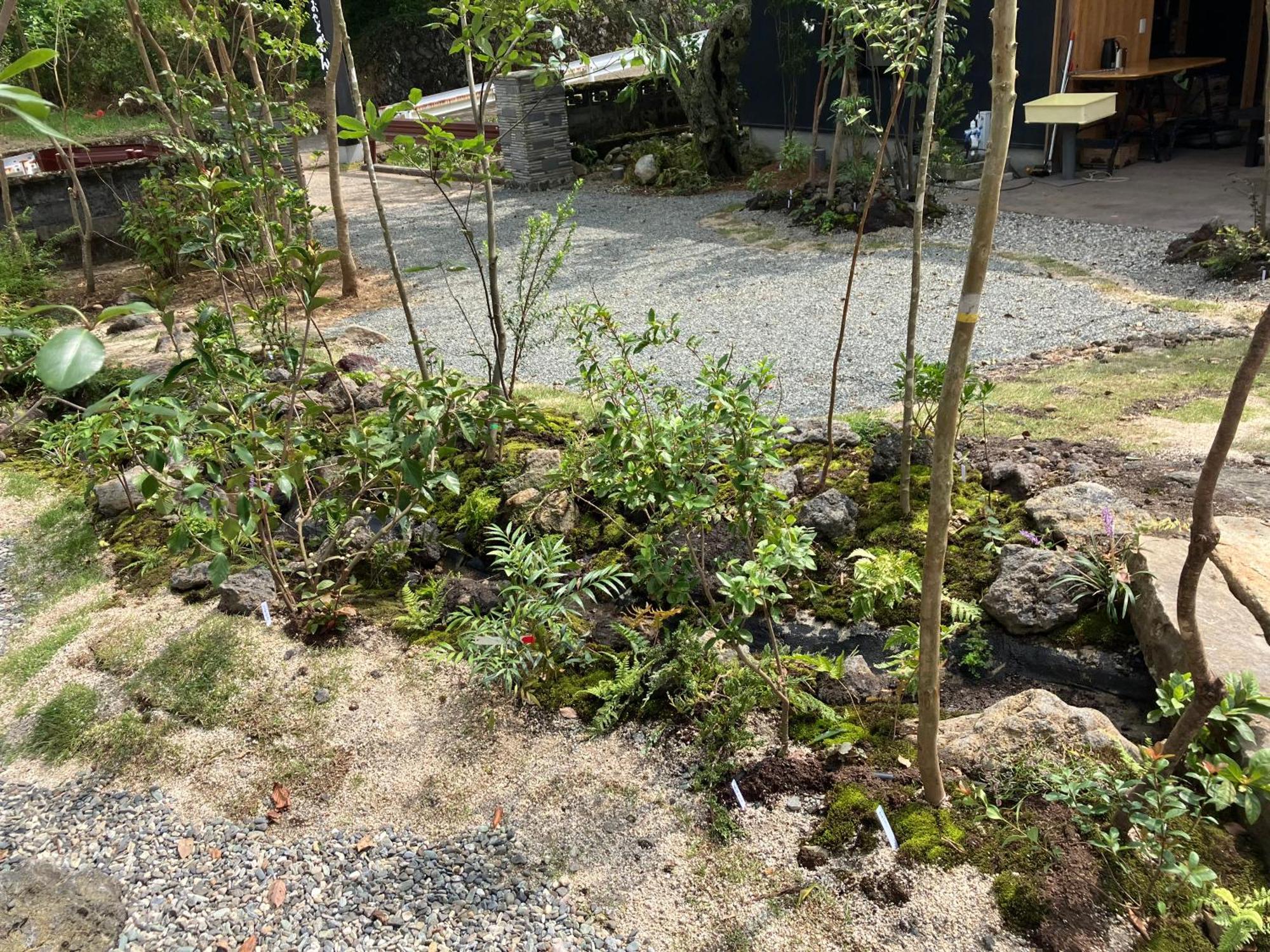 お宿でん吉 Minami Aszo Kültér fotó